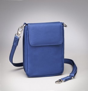 itty bitty gun purse