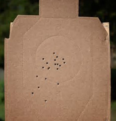 handgun flinch target